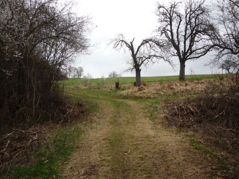 Bahn�bergang zwischen Dietlingen und Niebelsbach
