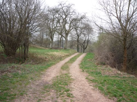 Zwischen Dietlingen und Niebelsbach