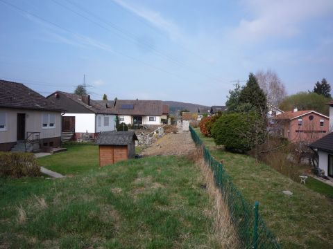 Damm durch Ellmendingen