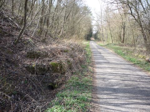 Zwischen Weiler-Ottenhausen und Pfinzbr�cke