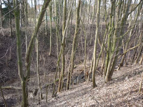 Zwischen Bahnw�rterhaus und Wilhelmshof