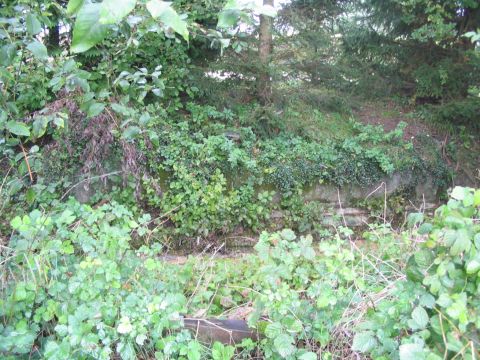 Br�cke �ber den M�hlbach