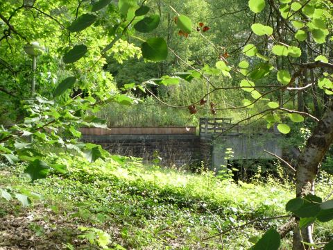 Br�cke �ber die Steinach