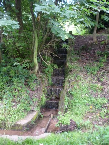 Zwischen Neckarsteinach Nord und Sch�nau S�d