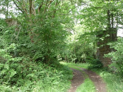 Br�cke �ber einen der Maisenklinge kommenden Bach