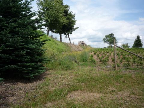 Bahndamm hinter Laudenberg