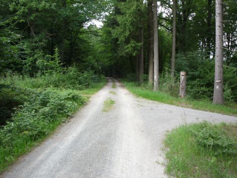 Zwischen Laudenberg und Langenelz