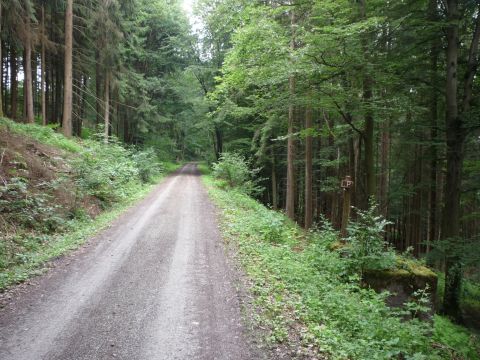 Signalfundament zwischen Limbach und Laudenberg