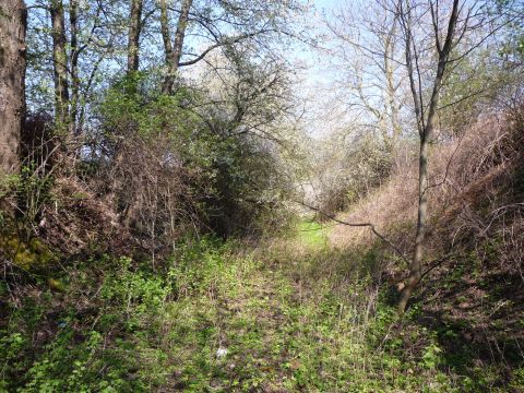 Einschnitt hinter dem einstigen Bahn�bergang