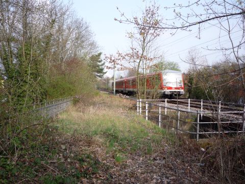 Br�cken �ber die Kunzestra�e