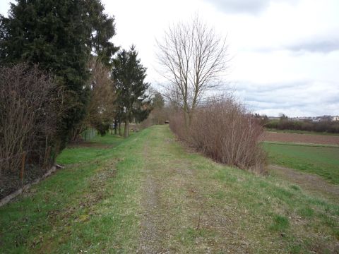 Zwischen Murr und Steinheim