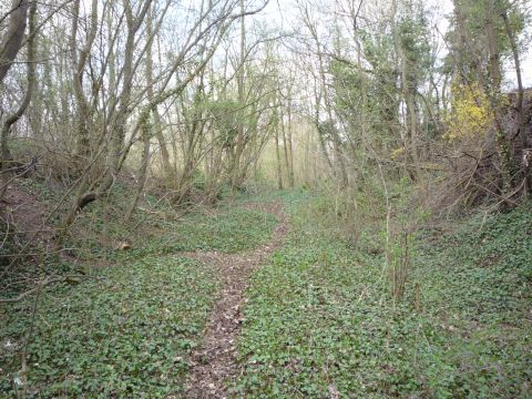 Zwischen Rauher Stich und Sontheim