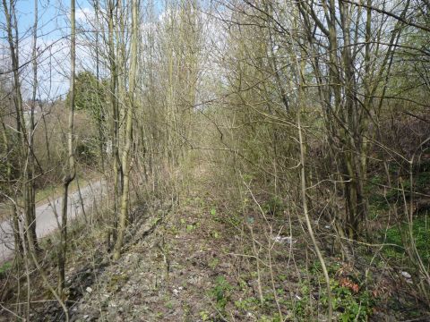 Zwischen Rauher Stich und Sontheim