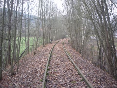 Br�cke �ber den Muckbach