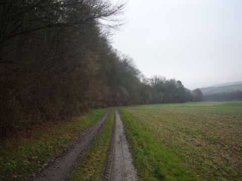 Zwischen Dittwar und K�nigheim