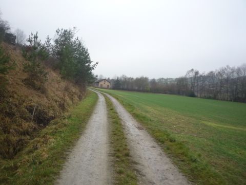 Zwischen Dittwar und K�nigheim