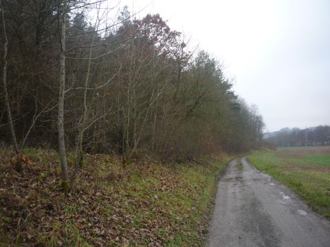 Zwischen Dittwar und K�nigheim