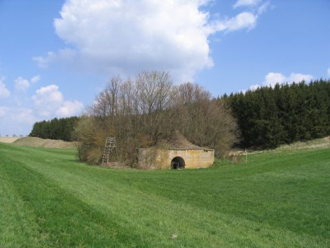 Ehemaliger Dammdurchlass hinter Br�nstholz