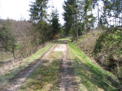 Zwischen Ebnat und Br�nstholz