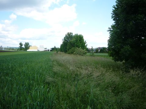 Zwischen Sielmingen und Neuhausen