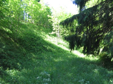 Ehemalige Br�cke �ber die Forststra�e von Ungerhausen nach Westerheim