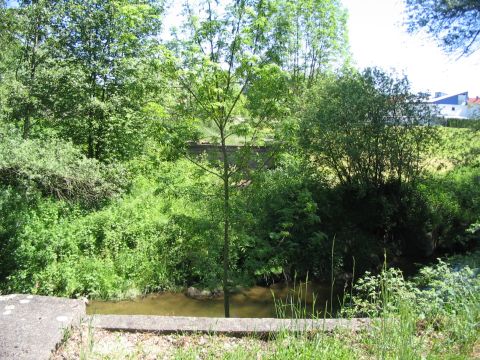 Br�cke �ber die westliche G�nz