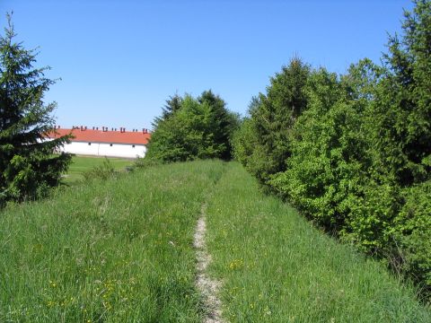 Damm �ber den Krebsbach