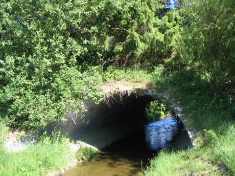 Durchlass des Krebsbachs