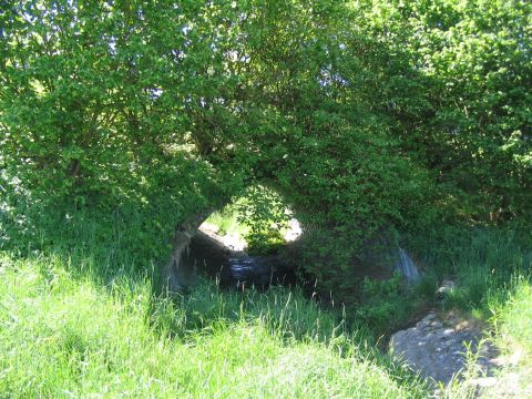 Durchlass des Schnittenbachs