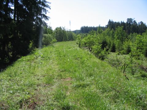 Beginn der alten Trasse