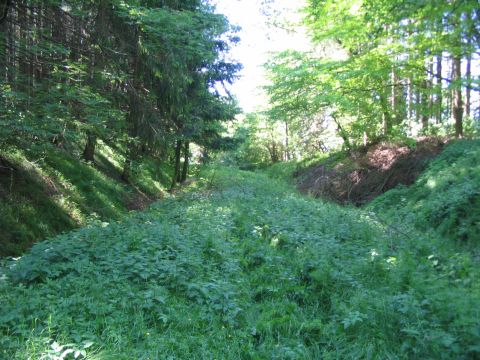 Fortsetzung der alten Trasse