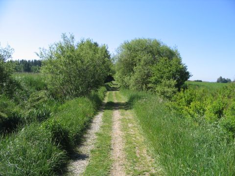 Fortsetzung der alten Trasse