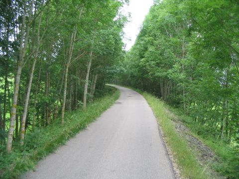 Damm �ber den Go�holzer Tobel