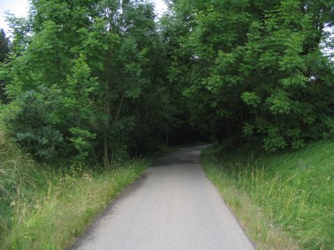 Einschnitt Go�holzer Tobel