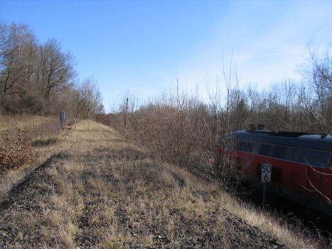 Auffahrt Kellm�nz