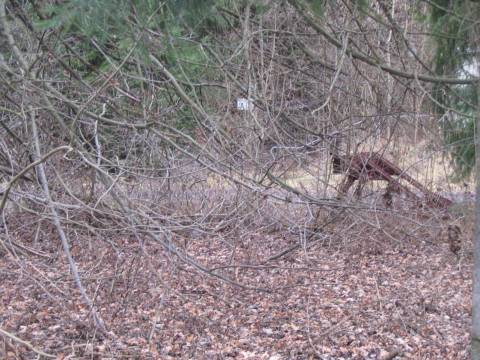 Werksgel�nde Oetinger