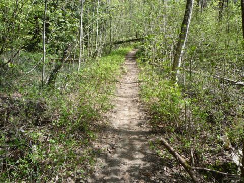 Br�cke bei der Haltestelle Fluh