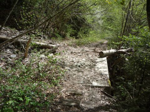 Br�cke zwischen Rickenbachtunnel und Wirtatobel