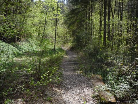 Br�cke zwischen Rickenbachtunnel und Wirtatobel