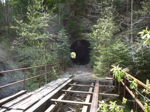 Br�cke �ber den Rickenbach