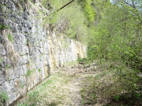 Zwischen Wirtatobel und Langen-Buch