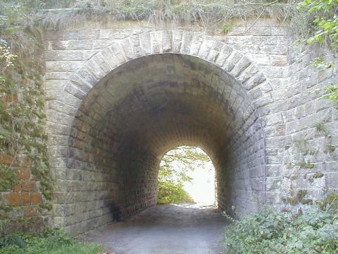 Br�cke eines Waldwegs