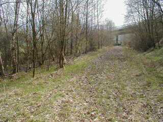 Einm&uuml;ndung von Tann