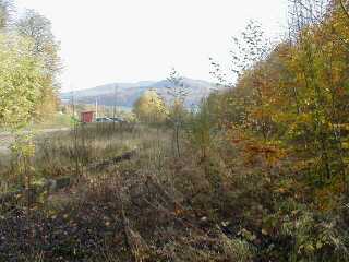 Bahnsteig Bieberstein