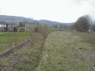 Bahnsteig Haltepunkt Eckweisbach