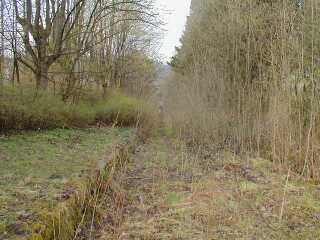 Blick in Richtung Tunnel