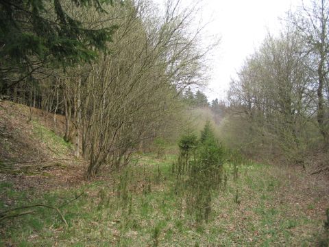 Abzweig Fabrik Oberwald