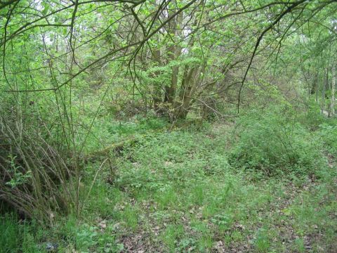 Haltepunkt Lie�berg
