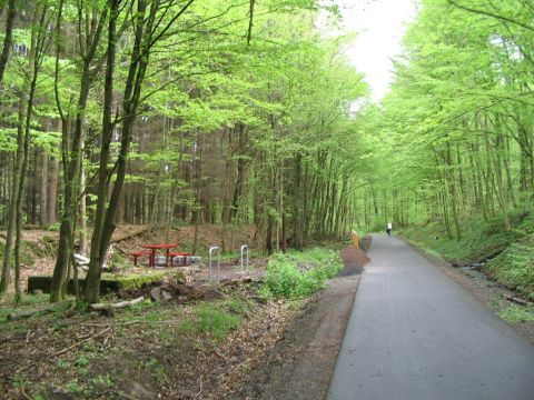 Trasse im Wald zwischen Li�berg und Hirzenhain