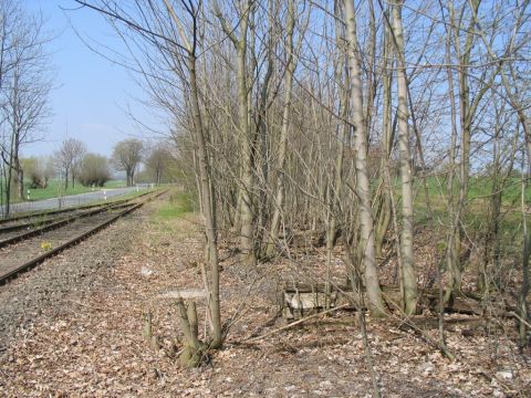 Zufahrt zum Lager Getreidewirtschaft Gotha